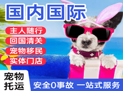 白莲机场物流国际宠物托运 【国